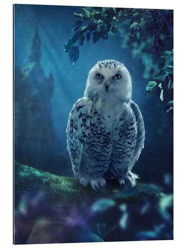 Gallery print Snow owl