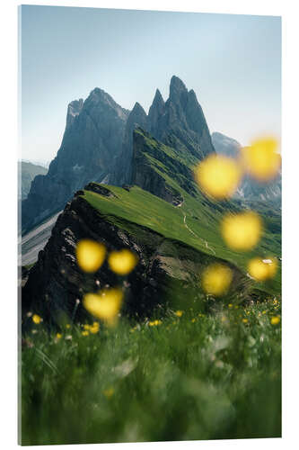 Acrylic print Seceda mountain view with alpine flowers