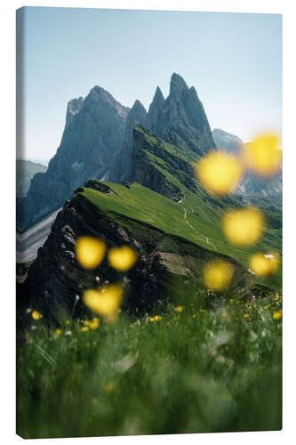 Canvas print Seceda mountain view with alpine flowers