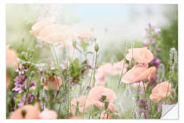 Wall sticker Poppies and poppy capsules in the back light