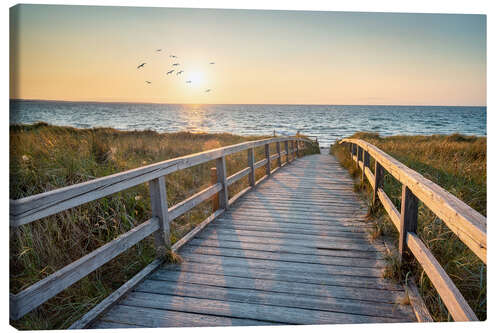 Canvas print Jetty to the sea