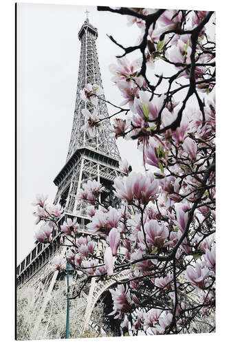 Stampa su alluminio Parigi