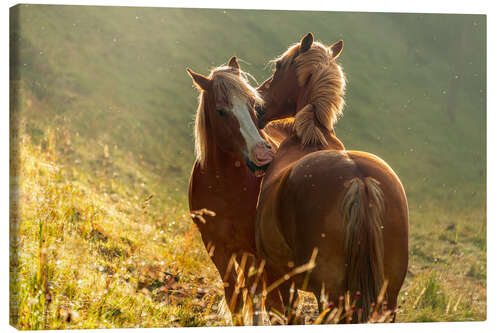 Canvas-taulu Horses friendship