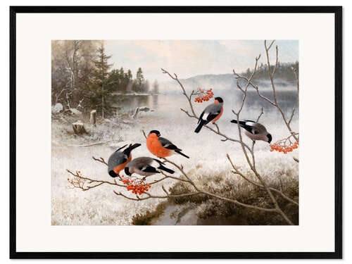 Plakat artystyczny premium w ramie Bullfinches in winter landscape