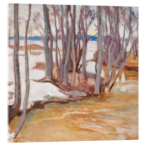 Acrylglas print Spring flood at Tuusulanjärvi