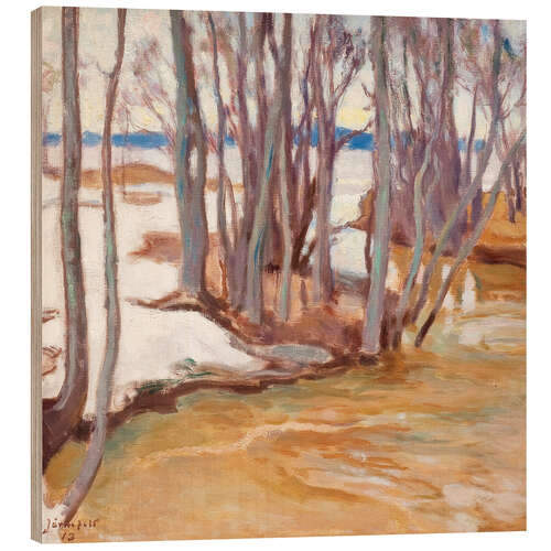 Wood print Spring flood at Tuusulanjärvi