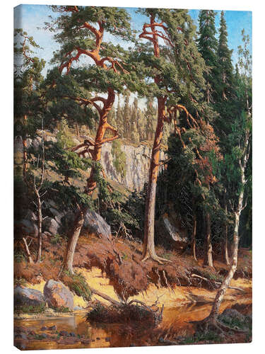 Canvas print In the forest