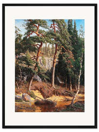 Gerahmter Kunstdruck Im Wald