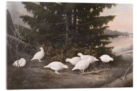 Akrylbilde Ptarmigans