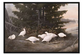 Gerahmter Kunstdruck Moorhuhn