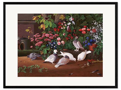 Impresión de arte enmarcada Flores y pájaros en la esquina del jardín