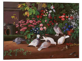 Magnettafel Blumen und Vögel in der Ecke des Gartens