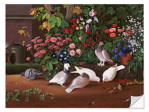 Naklejka na ścianę Flowers and birds in the corner of the garden