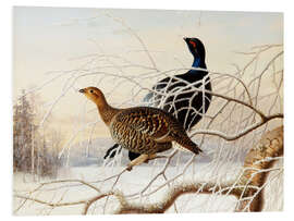 Foam board print Wood Grouse Couple