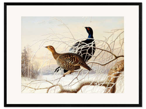 Framed art print Wood Grouse Couple