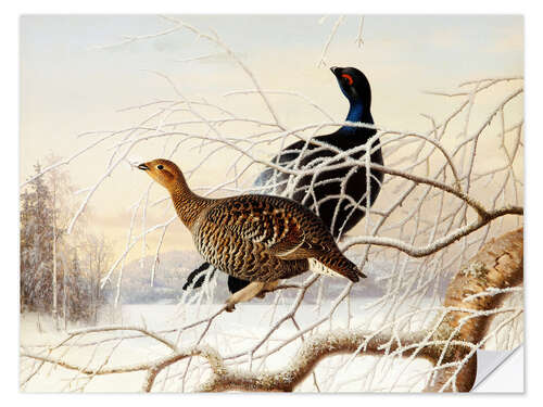 Selvklebende plakat Wood Grouse Couple