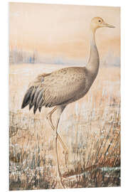 Foam board print A young crane