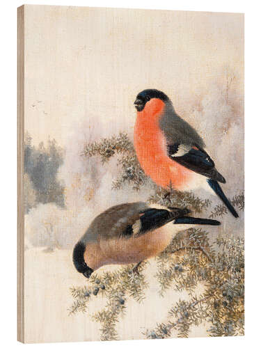 Hout print Bullfinches