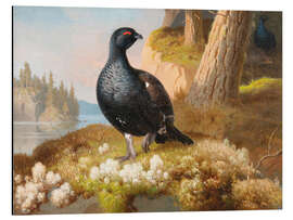 Magnettafel Birkhühner