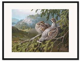 Gerahmter Kunstdruck Haselhühner im Wald