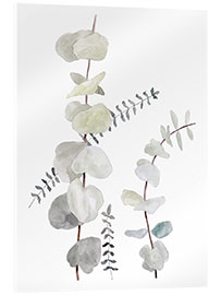 Acrylic print Botanical illustration Mix1