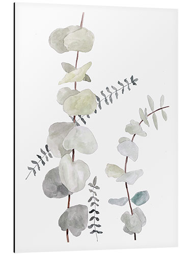 Aluminiumtavla Botanical illustration Mix1