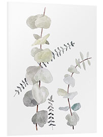 Foam board print Botanical illustration Mix1