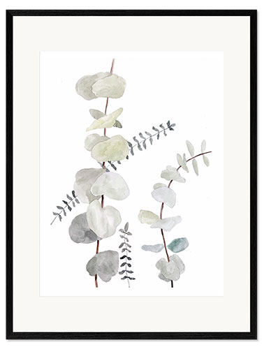 Framed art print Botanical illustration Mix1