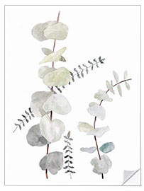 Wall sticker Botanical illustration Mix1