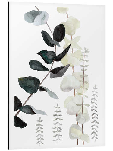 Aluminium print Botanical illustration mix