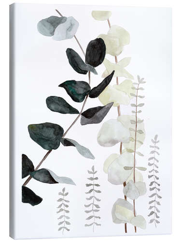 Leinwandbild Botanische Illustration Mix