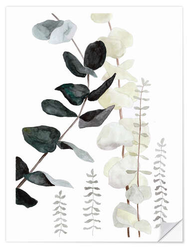 Selvklebende plakat Botanical illustration mix