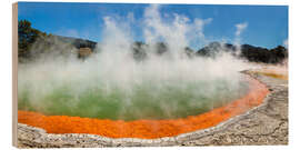 Holzbild Thermal Wonderland, Neuseeland