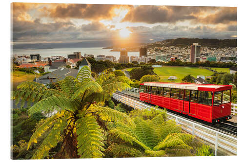 Acrylglasbild Wellington bei Sonnenaufgang