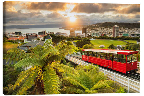 Leinwandbild Wellington bei Sonnenaufgang