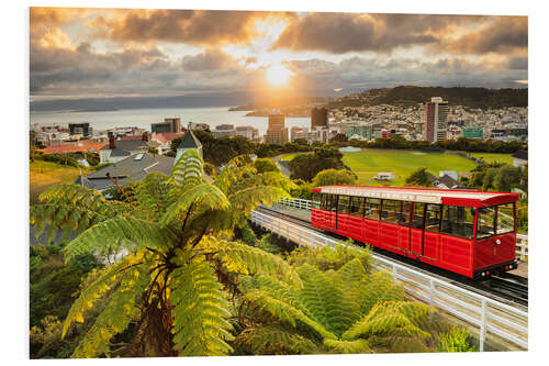 Bilde på skumplate Wellington at sunrise