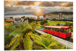 Gallery print Wellington at sunrise