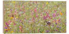 Trebilde Colorful blooming wild spring flowers and butterflies