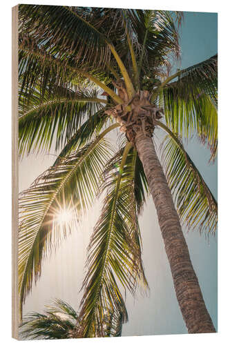 Wood print Tropical palm tree