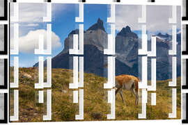 Magnettafel Guanacco vor Cerro Torre in Patagonien