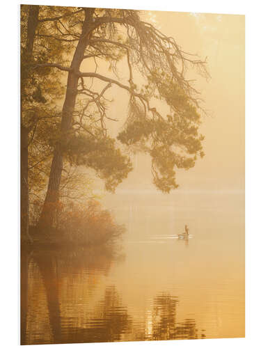 PVC print Geese in golden light