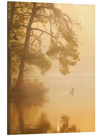 Magnettafel Gans in goldenem Licht