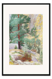 Gerahmter Kunstdruck Herbstliche Landschaft