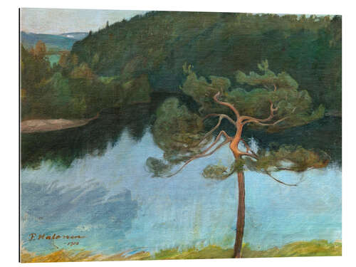 Gallery print Pine tree on the shore