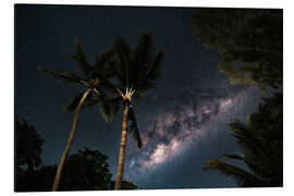 Aluminium print Palm trees against a starry sky and the Milky Way