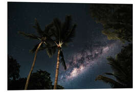 PVC print Palm trees against a starry sky and the Milky Way