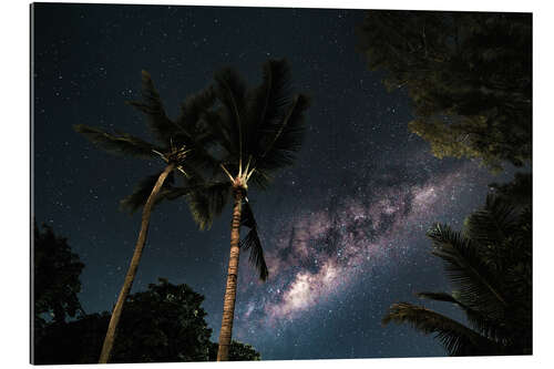 Gallery print Palm trees against a starry sky and the Milky Way