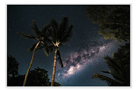 Tableau  Palmiers sous un ciel étoilé et sous la voie lactée - Road To Aloha