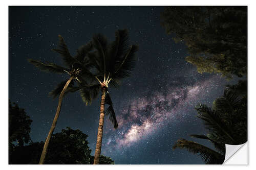 Wall sticker Palm trees against a starry sky and the Milky Way