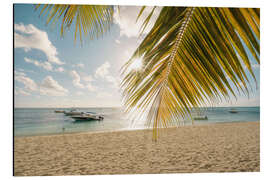 Aluminium print Palm trees on the beach, Mauritius